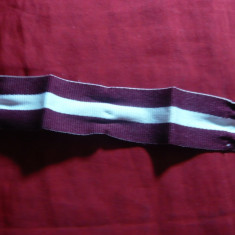 Panglica pt.Decoratie - visinie cu dunga alba , L= 16,8 cm