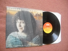 ANDREAS VOLLENWEIDER: ...Behind The Gardens-Behind The Wall-Under The Tree(1981) foto