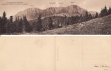 Muntii Bucegi (Brasov) - carte postala dubla,diptic, rara, Necirculata, Printata