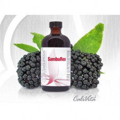 SambuRex (240 ml) Calivita foto