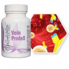 Vein Protex (60 capsule) Calivita foto