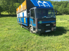 camion iveco omologat apicol foto