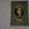 Aventurile lui Oliver Twist - Charles Dickens - Editura Tineretului - 1968