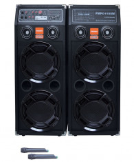 Sistem Karaoke boxe audio Temeisheng DP-2329 cu amplificator foto