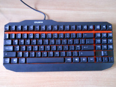 Tastatura Gaming Mecanica Zalman ZM-K500. foto