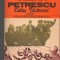 (C7080) CEZAR PETRESCU - CALEA VICTORIEI