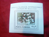Colita Romania -Pictura - Expozitia Filatelica Socfilex -1979, Nestampilat
