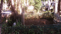 LOC DE VECI CIMITIRUL IZVORUL NOU foto