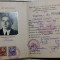 DIPLOMA DE TEHNICIAN - EVIDENTA CONTABILA - TURDA - REGIUNEA CLUJ - 31-5-1953