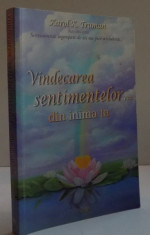 VINDECAREA SENTIMENTELOR... DIN INIMA TA , 2010 foto