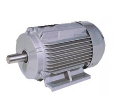 Motor monofazic Anne 750W foto