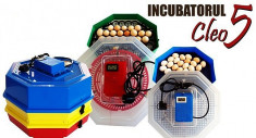 Incubator electric Cleo 5 foto