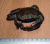 DECOR FOARTE VECHI DIN BRONZ - CRAB