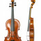 Vioara Grade Violini