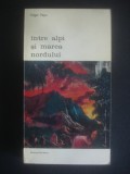 EDGAR PAPU - INTRE ALPI SI MAREA NORDULUI {colectia BIBLIOTECA DE ARTA}, Alta editura