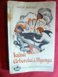 Sanda Mateiu - Taina Arborelui de Myonga - Prima Ed. 1935 Cartea Romaneasca