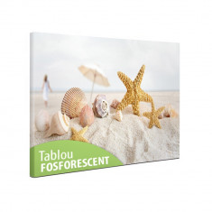 Tablou canvas fosforescent Scoici pe plaja, 60x40 cm foto
