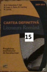 Eseul (varianta putin mai veche si mai complexa) Literatura Romana Bac foto