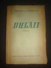 ZAHARIA STANCU - DULAII foto