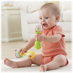 Maracase Zorn&amp;amp;259itoare Fisher-Price foto