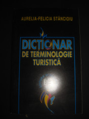 AURELIA FELICIA STANCIOIU - DICTIONAR DE TERMINOLOGIE TURISTICA foto