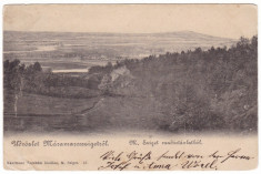 #1844- Romania, salutari Maramarossziget, Sighet cp. circulata 1903: Panorama foto