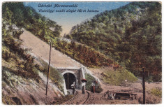 #1849- Ro, salut. Valea Viseului Maramures cp. necirc. 1919: Tunelul, animat foto