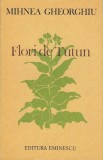 Flori de tutun &ndash; Mihnea Gheorghiu