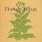 Flori de tutun &ndash; Mihnea Gheorghiu