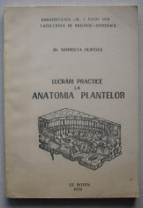 Georgeta Filipescu - Lucrari Practice La Anatomia Plantelor foto