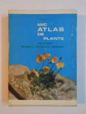 MIC ATLAS DE PLANTE,DIN FLORA REPUBLICII SOCIALISTE ROMANIA de I.TODOR,BUC.1968 foto