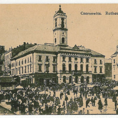 2215 - CERNAUTI, Bucovina, Market - old postcard - unused