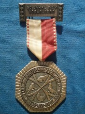 MEDALIE AUSTRIA foto