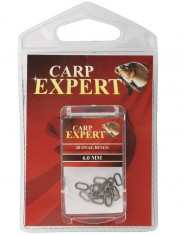 Carp Expert Microring Oval foto