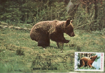 5491 - Romania 1987 - carte maxima foto