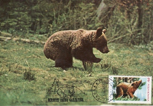 5491 - Romania 1987 - carte maxima