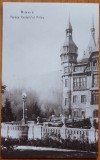 Sinaia ; Peles , 3 ilustrate interbelice, Ambele, Printata, Romania 1900 - 1950