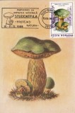 5508 - Romania 1988 - carte maxima