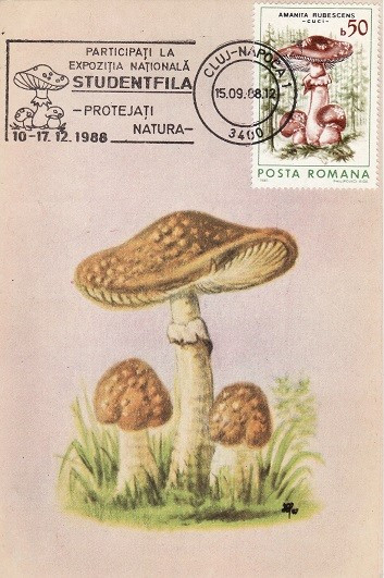 5506 - Romania 1988 - carte maxima