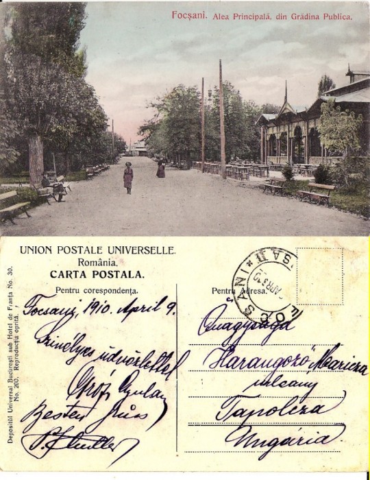 Focsani ( Vrancea ) - Gradina - rara