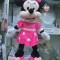 Minnie plus
