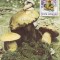 5486 - Romania 1986 - carte maxima