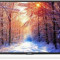 Sharp Televizor LED Sharp 139 cm (55&quot;) 55CFE6241, Full HD, Smart TV