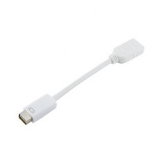 Adaptor 4World mini DVI [M] &amp;gt; HDMI [F], alb foto