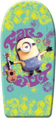 Minions- Placa de inot foto