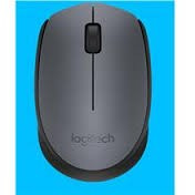 Mouse Wireless Logitech M171 foto