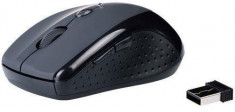 Natec wireless optical mouse KIWI BLACK (1600DPI/nano rec./2,4GHz) foto