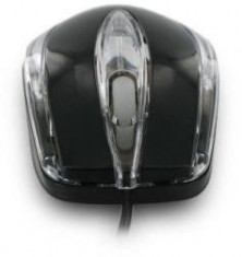 Mouse optic 4World, USB, BASIC1, 1200dpi, negru foto