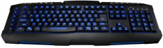 Gaming Keyboard TRACER Avenger Illuminated 6x Macro key USB , US foto