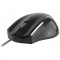 Mouse USB Take Me Mars Mouse optic: rotita si trei butoane. design ergonomic.